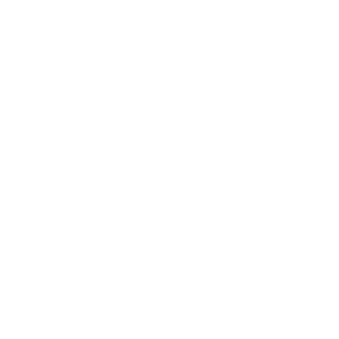 Bitmark