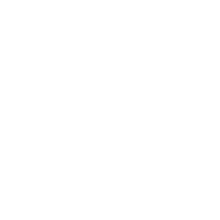 AiDot