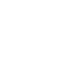 Brilliant Nexus