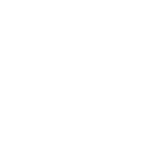 Ergomotion Smart Bed BR