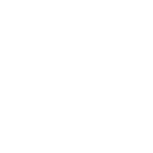 Google Nest Thermostat