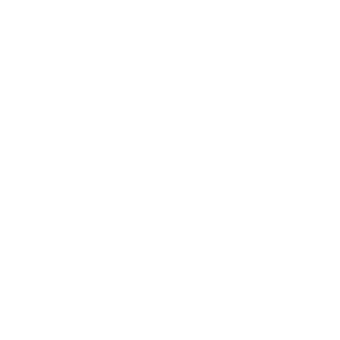 OneNote