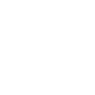 Metronet