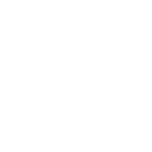 RACER