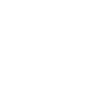 Mailchimp New subscriber.