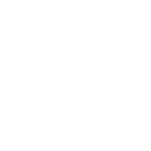 Ragic