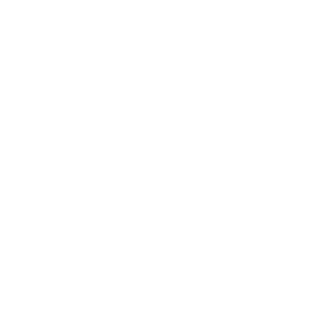 sendSMS