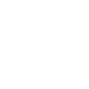 SL-BUS Technology