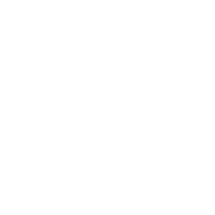 SmartHome Fan