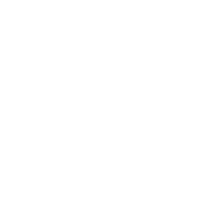 Somfy Protect