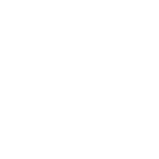 Temp Stick