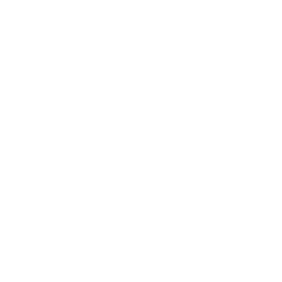 The Money Guy Show