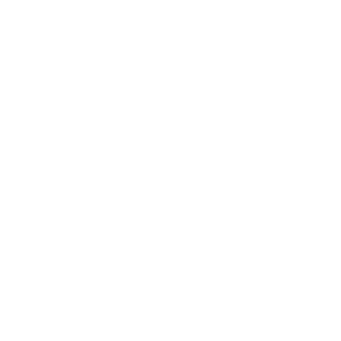 The National Football League