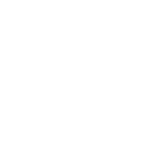 The Wall Street Journal