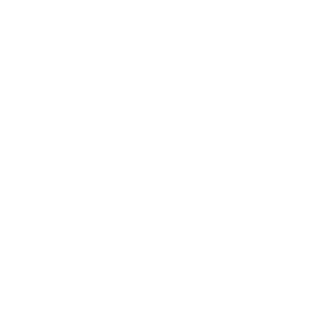 WeMo Light Switch