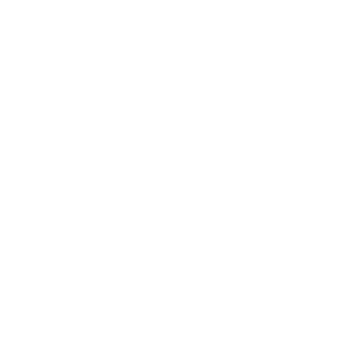 Wemo Outdoor Plug