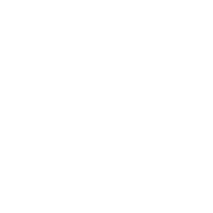 Wikipedia