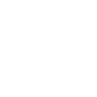 SMS icon