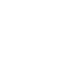 TikTok icon