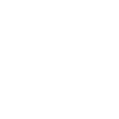 National Science Foundation