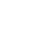 Spotify icon