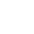 WordPress icon