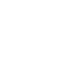 OneNote icon