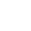 Discord icon