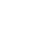 Wyze icon